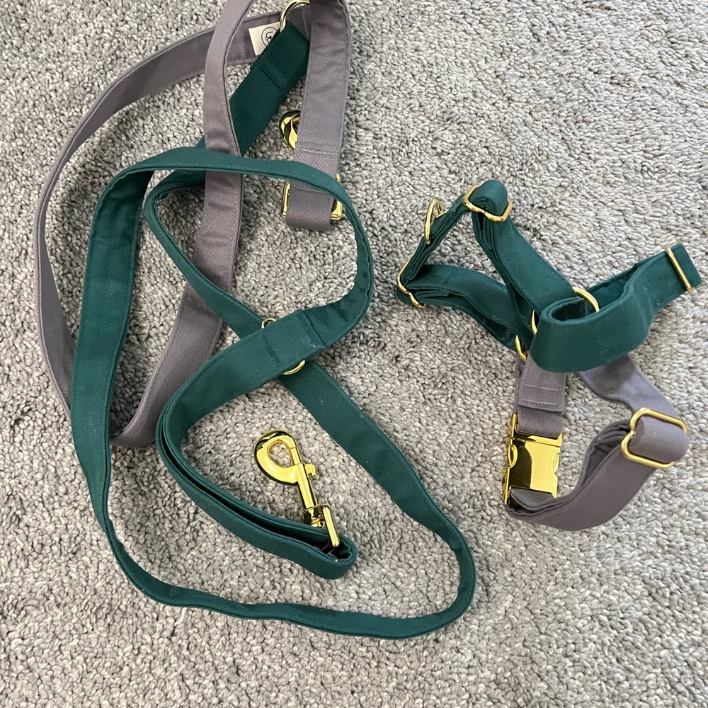 Eat Play Wag No-Pull Harness & 1” Convertible Leash Set - Spruce Medium - Picture 6 of 9
